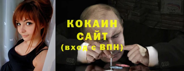 твердый Козловка