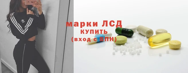 ПСИЛОЦИБИНОВЫЕ ГРИБЫ Кодинск