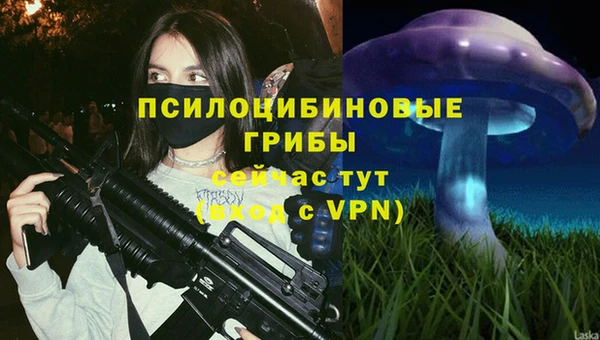 твердый Козловка