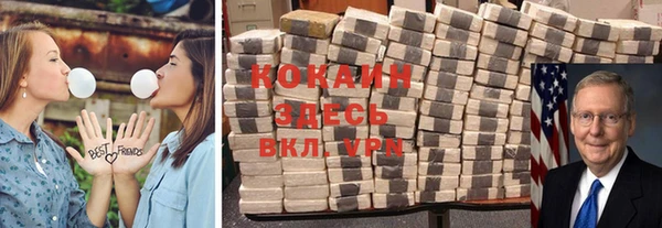 твердый Козловка