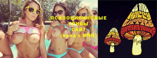 ПСИЛОЦИБИНОВЫЕ ГРИБЫ Кодинск